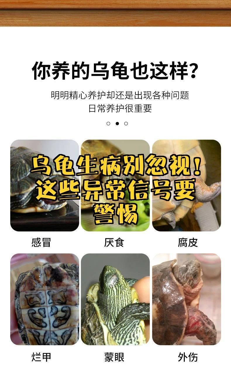 給我推薦一些龍龜保養產品，關于龍龜的保養