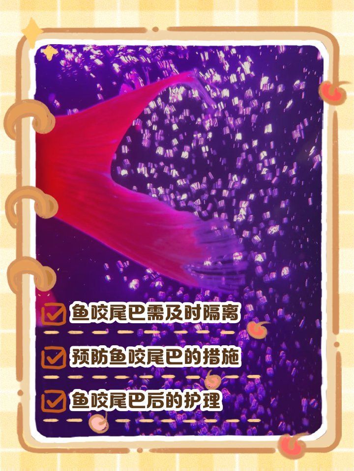 龍魚咬尾巴后多久能恢復，龍魚咬尾后多久能恢復？