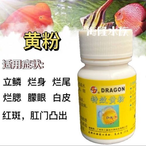 如何預(yù)防龍魚鰓蓋爛，高價值觀賞魚養(yǎng)殖/觀賞魚養(yǎng)殖中最致命的疾病之一