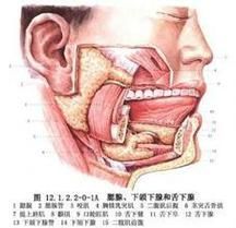翻鰓手術風險大嗎，百度健康-去問診,