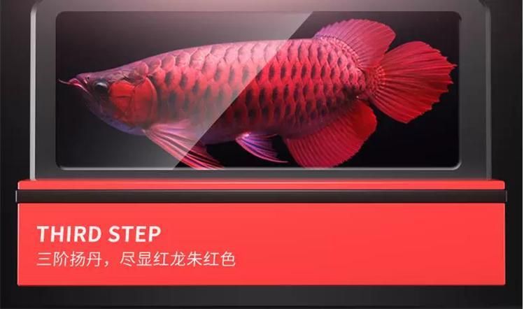 給我推薦幾款性價(jià)比高的NEC龍魚燈，nec龍魚燈哪個(gè)性價(jià)比最高