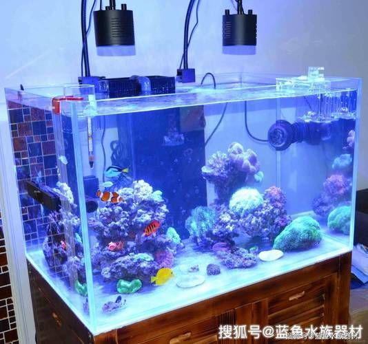 有哪些有效的增氧方法，水生生態(tài)系統(tǒng)的增氧是維持水生態(tài)系統(tǒng)的健康至關(guān)重要