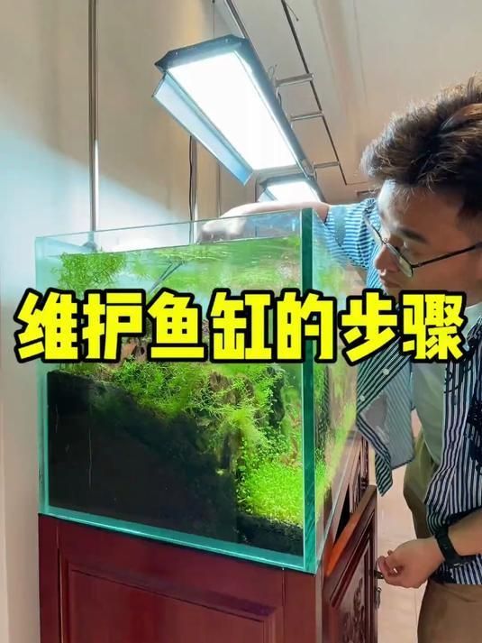如何種植和養護這些水草，西安地區水草種植與養護常見觀賞水草品種與養護方案