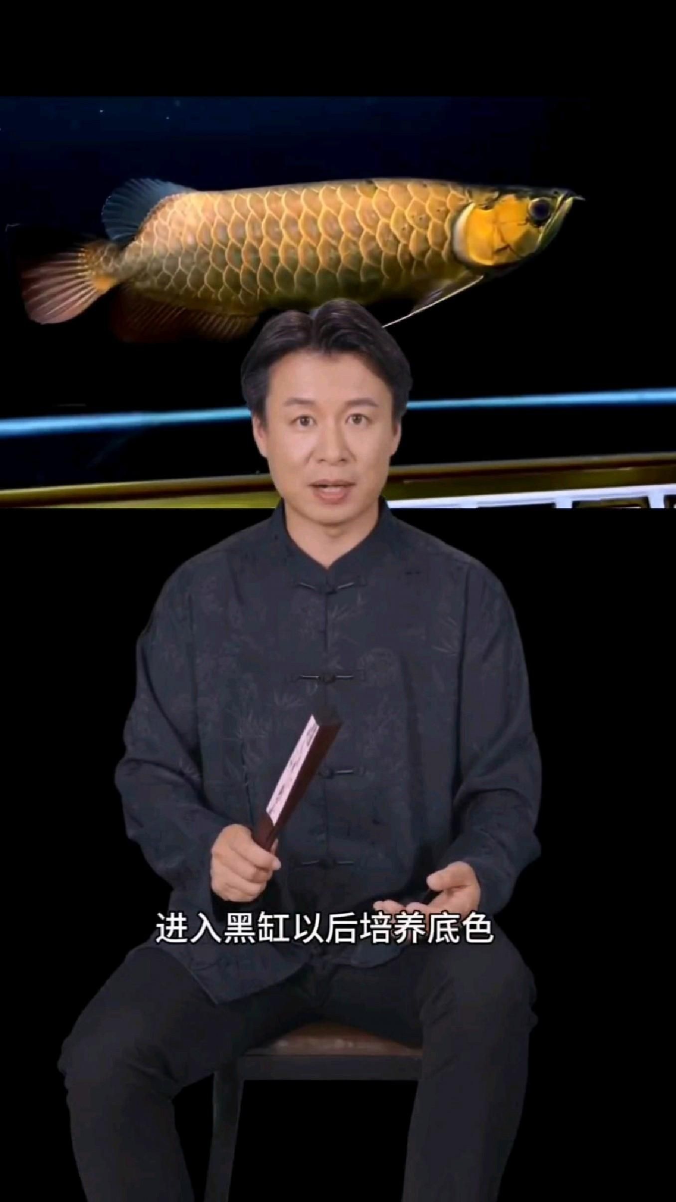 過背金龍疾病預防，過背金龍怎么養(yǎng)