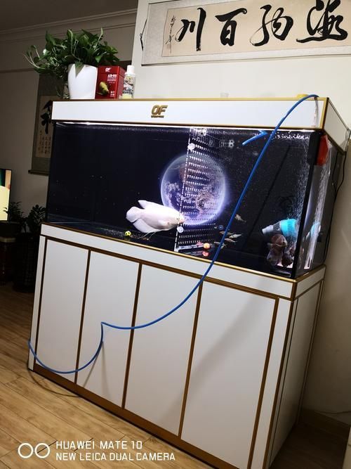 仟湖魚缸有哪些系列？