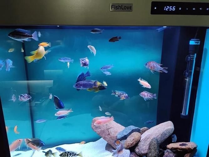 仟湖魚缸有哪些系列？