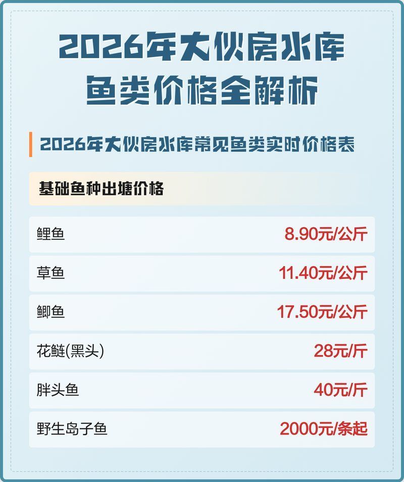 能否提供更多關于魚的價格信息，2026年主流淡水魚價格對比表