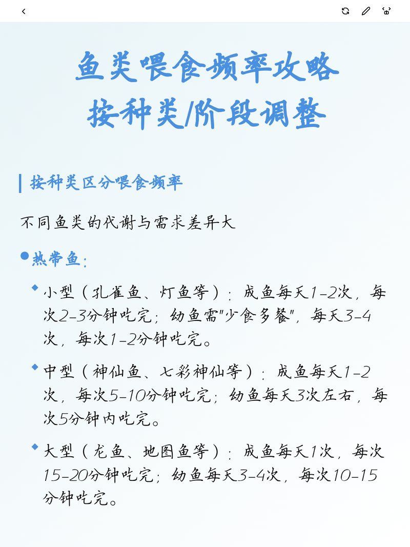 龍魚多久喂一次食物，魚類喂食頻率攻略|按種類/階段調整