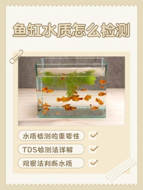 如何預(yù)防魚蒙眼病的復(fù)發(fā)，魚蒙眼病復(fù)發(fā)預(yù)防