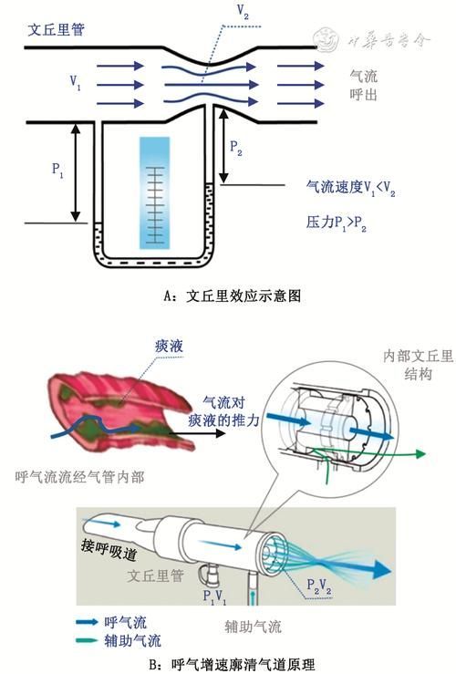 如何改善龍魚的水質(zhì)和溶氧？，arxiv論文助手改善龍魚水質(zhì)與溶氧的核心信息