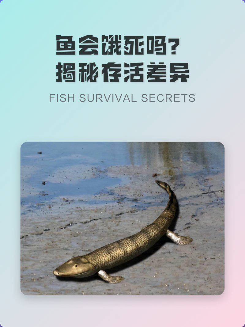 龍魚一個月不吃會餓死嗎，龍魚一個月不吃會不會餓死？