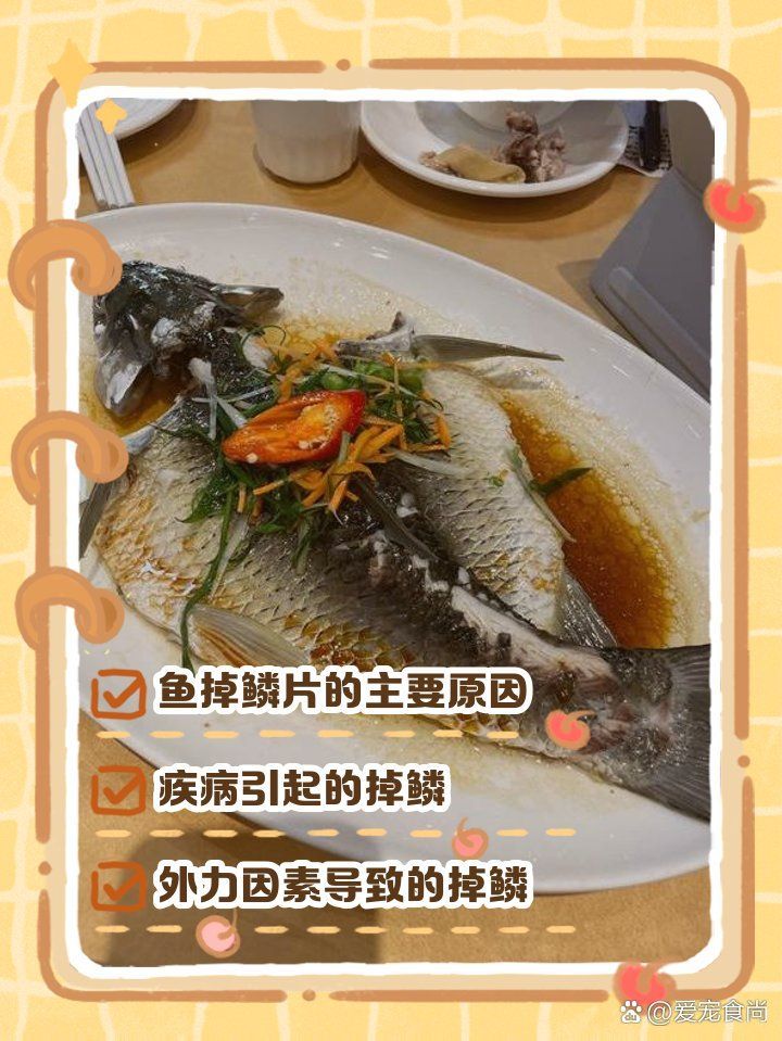 如何判斷魚是否患有鱗片脫落或潰爛，魚缸的魚會爛身長白毛掉鱗是怎么回事呢