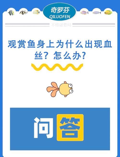 如何預防魚尾鰭充血，arxiv論文助手（arxiv論文助手（arxiv論文助手）