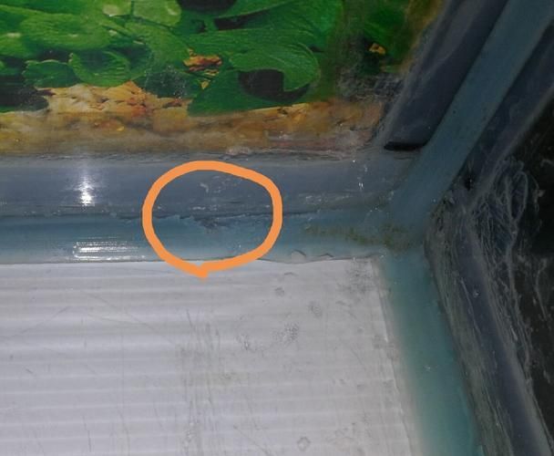 如何判斷魚缸質量好壞？，mcp工具中的“商品”服務可輔助獲取當前熱銷魚缸參數對比