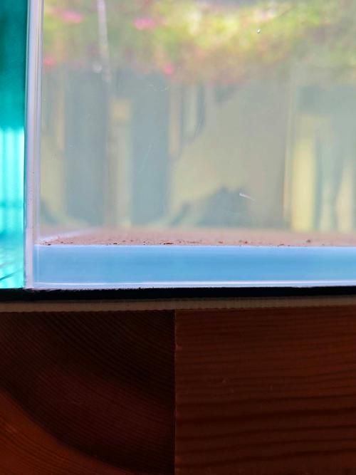 如何判斷魚缸質量好壞？，mcp工具中的“商品”服務可輔助獲取當前熱銷魚缸參數對比