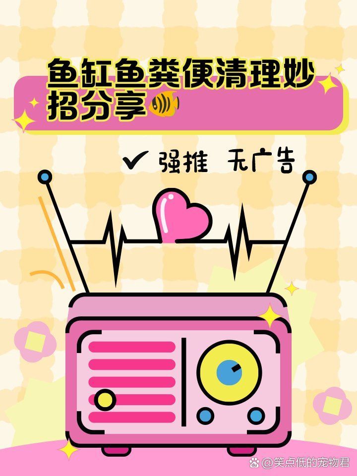 龍魚糞便多久能清理一次，鸚鵡學舌小話癆,魚缸魚糞便清理妙招分享?