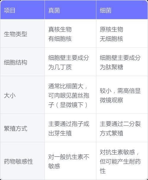 能否提供真菌和細菌的對比圖，如何區分真菌和細菌的感染癥狀