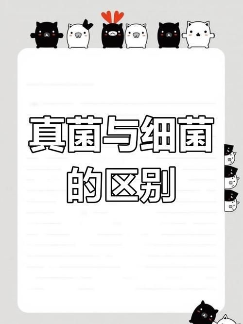 能否提供真菌和細菌的對比圖，如何區分真菌和細菌的感染癥狀