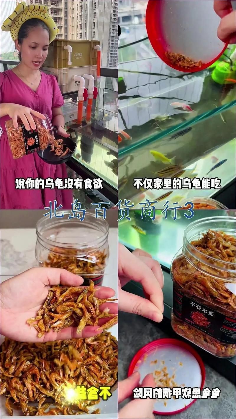 有哪些品牌龜增色龍魚飼料推薦，仟湖增色龍魚飼料