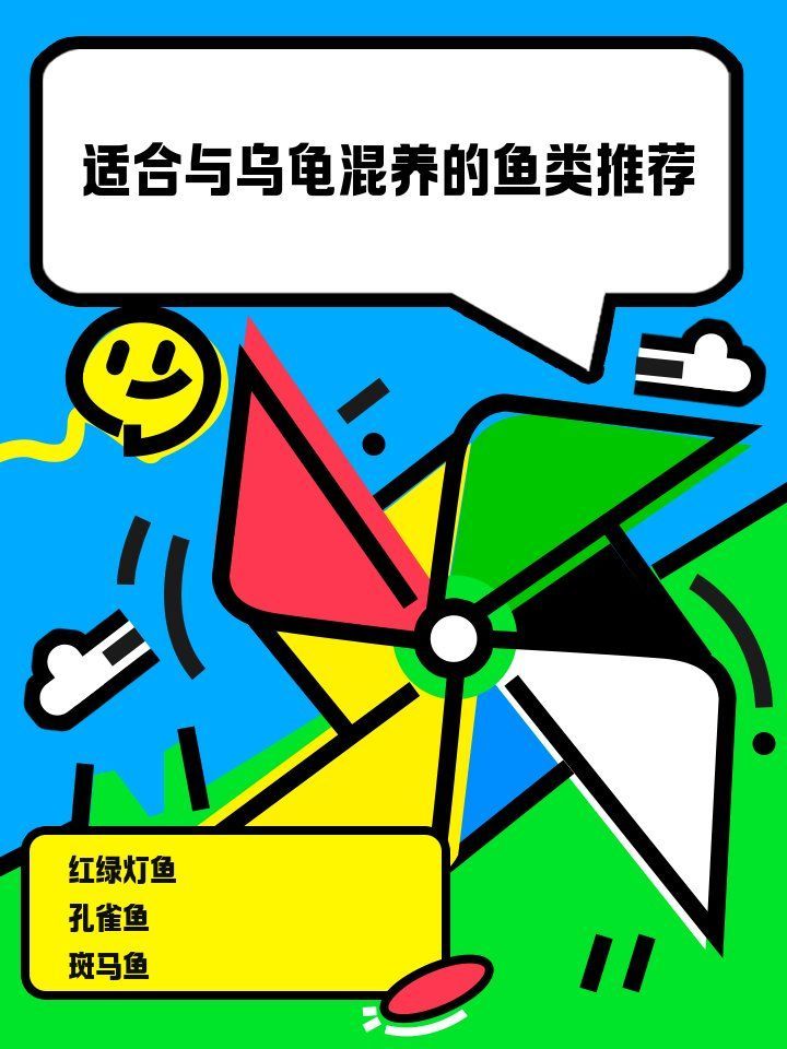 有哪些烏龜和魚可以混養 有哪些烏龜和魚可以混養 龍魚百科 第2張