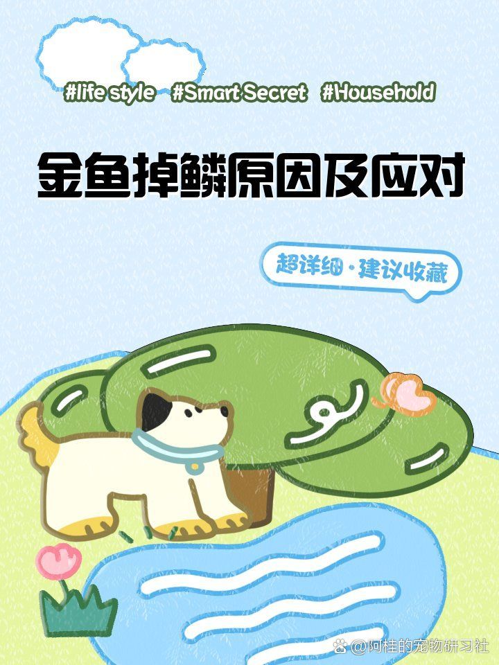 有哪些食物可以預(yù)防金魚掉鱗，如何預(yù)防金魚掉鱗