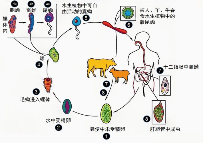 如何預防魚類寄生蟲感染，arxiv論文助手arxiv論文助手可輔助獲取最新科研文獻中表格 如何預防魚類寄生蟲感染，arxiv論文助手arxiv論文助手可輔助獲取最新科研文獻中表格 龍魚百科 第4張