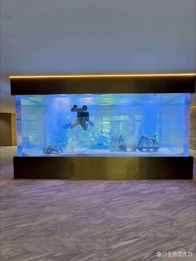 九鼎魚(yú)缸和彩蝶魚(yú)缸哪個(gè)更好？，九鼎魚(yú)缸、彩蝶魚(yú)缸、九鼎魚(yú)缸、彩蝶魚(yú)缸、彩蝶魚(yú)缸