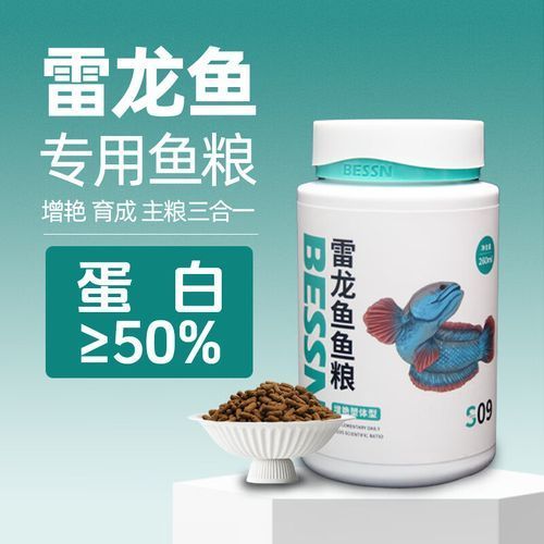 有哪些雷龍魚飼料推薦，如何判斷雷龍魚飼料的價(jià)格范圍是多少，有哪些品牌雷龍魚飼料值得推薦