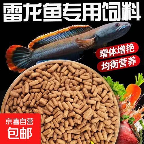 有哪些雷龍魚飼料推薦，如何判斷雷龍魚飼料的價(jià)格范圍是多少，有哪些品牌雷龍魚飼料值得推薦