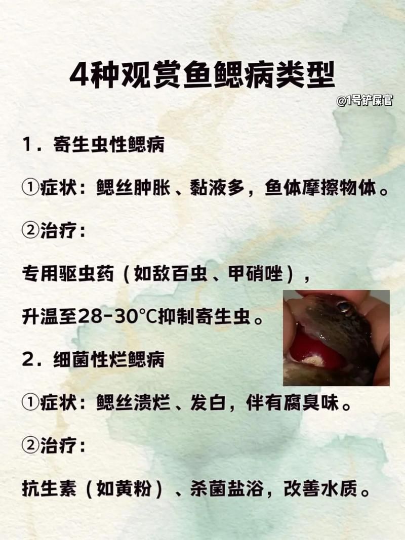 如何預(yù)防魚鰓病在不同魚種中的傳播，arxiv論文助手