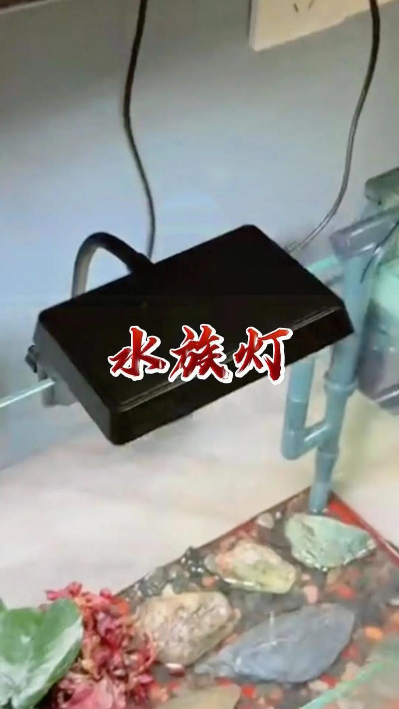 哪種類型的魚缸燈光最好，新手養(yǎng)魚，魚缸燈怎么選