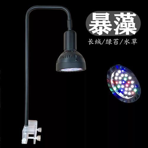哪種類型的魚缸燈光最好，新手養(yǎng)魚，魚缸燈怎么選