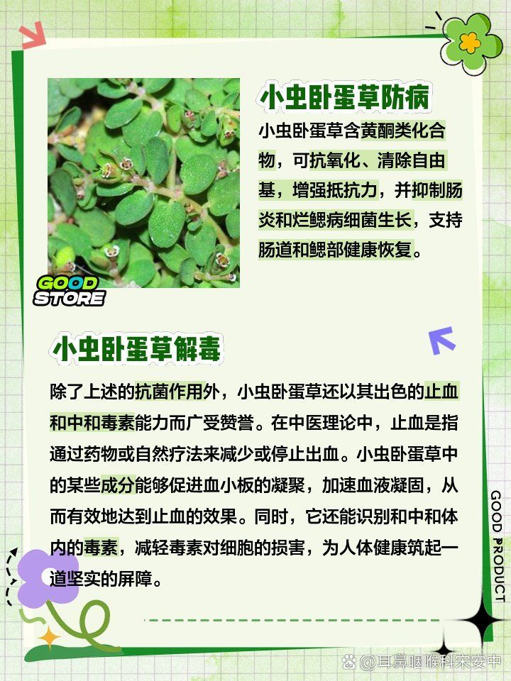 有哪些中草藥可以治療爛鰓病，中草藥治療公斤魚爛鰓病的方法