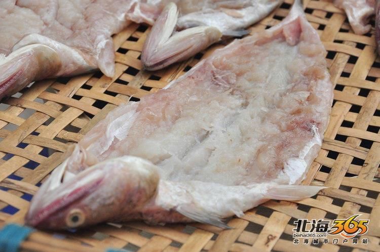 北?？堲~的市場供應情況，北海葵龍魚市場供應情況備受關注，北海葵龍魚市場供應情況
