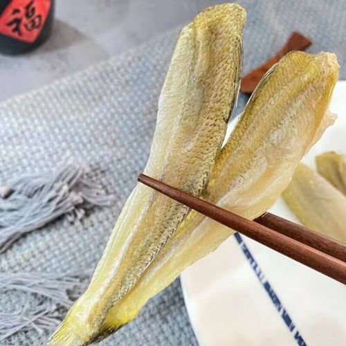 北海葵龍魚的市場供應情況，北?？堲~市場供應情況備受關注，北?？堲~市場供應情況