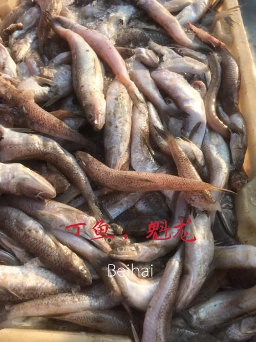 北?？堲~的市場供應情況，北?？堲~市場供應情況備受關注，北?？堲~市場供應情況