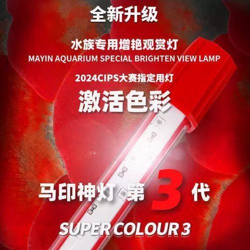 馬印增艷神燈PLUS系列有哪些型號，馬印增艷神燈plus怎么樣？