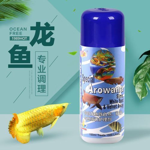 龍魚五號有哪些品牌推薦，龍魚五號品牌推薦