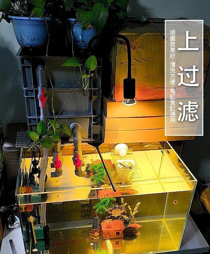 推薦幾款適合龍魚(yú)缸的過(guò)濾系統(tǒng)，幾款適合龍魚(yú)缸的過(guò)濾系統(tǒng)推薦