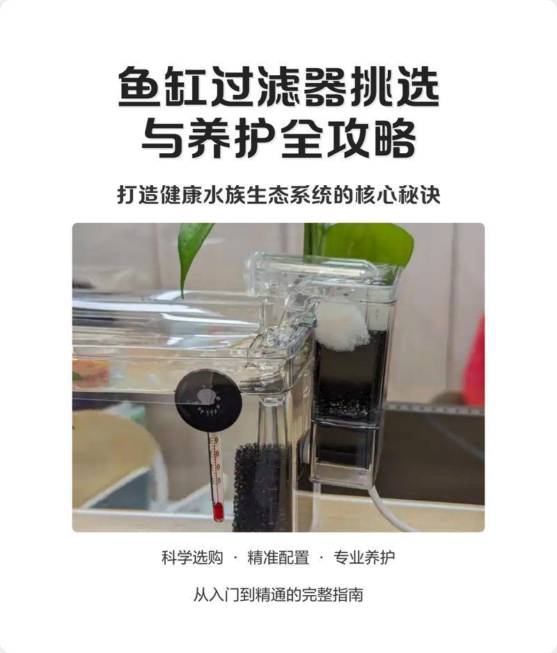 推薦幾款適合龍魚(yú)缸的過(guò)濾系統(tǒng)，幾款適合龍魚(yú)缸的過(guò)濾系統(tǒng)推薦