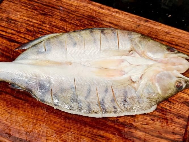 鮮美品牌雪龍魚的價(jià)格是多少，鮮美品牌雪龍魚價(jià)格是多少鮮美品牌雪龍魚價(jià)格是多少