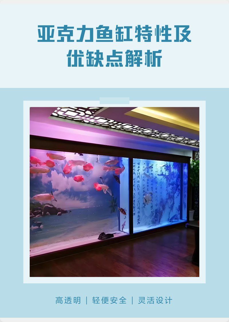 亞克力魚缸有哪些優缺點，亞克力魚缸優缺點解析
