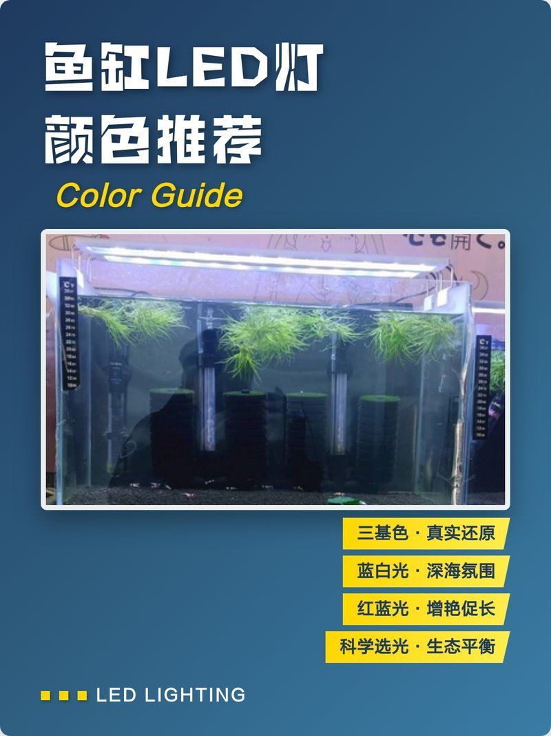 給我推薦幾款性價比高的魚缸三色燈，幾款性價比高的魚缸三色燈推薦