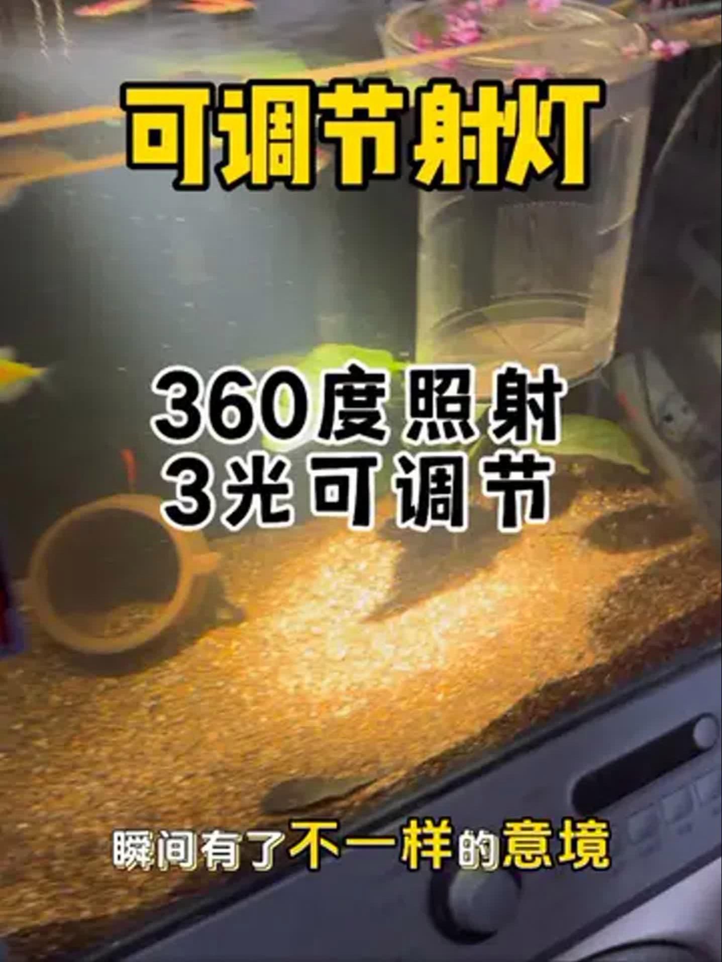 給我推薦幾款性價比高的魚缸三色燈，幾款性價比高的魚缸三色燈推薦
