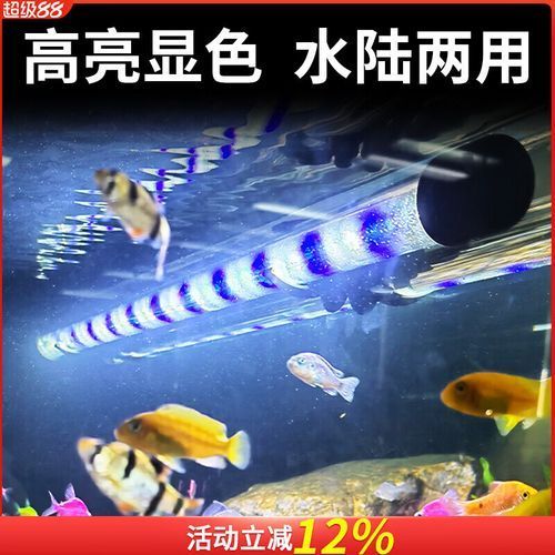 給我推薦幾款性價比高的魚缸三色燈，幾款性價比高的魚缸三色燈推薦