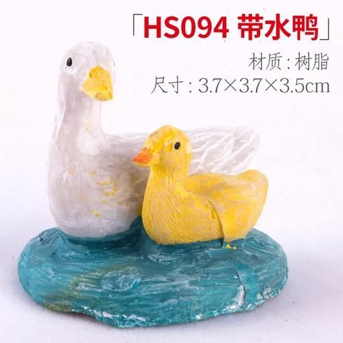 廣東水鴨魚缸是什么樣子的，廣東水鴨魚缸是一種用于養殖廣東水鴨的容器
