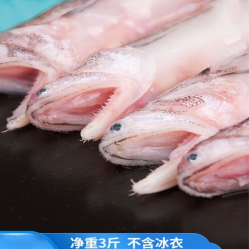 舟山龍頭魚的市場價格走勢如何，舟山龍頭魚市場價格走勢分析舟山龍頭魚市場價格走勢