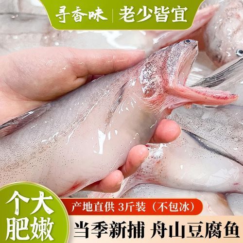 <strong><mark>舟山</mark></strong>龍頭魚的市場價格走勢如何，<strong><mark>舟山</mark></strong>龍頭魚市場價格走勢分析<strong><mark>舟山</mark></strong>龍頭魚市場價格走勢