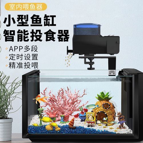 推薦一些神仙魚缸的配置清單，神仙魚缸的配置清單