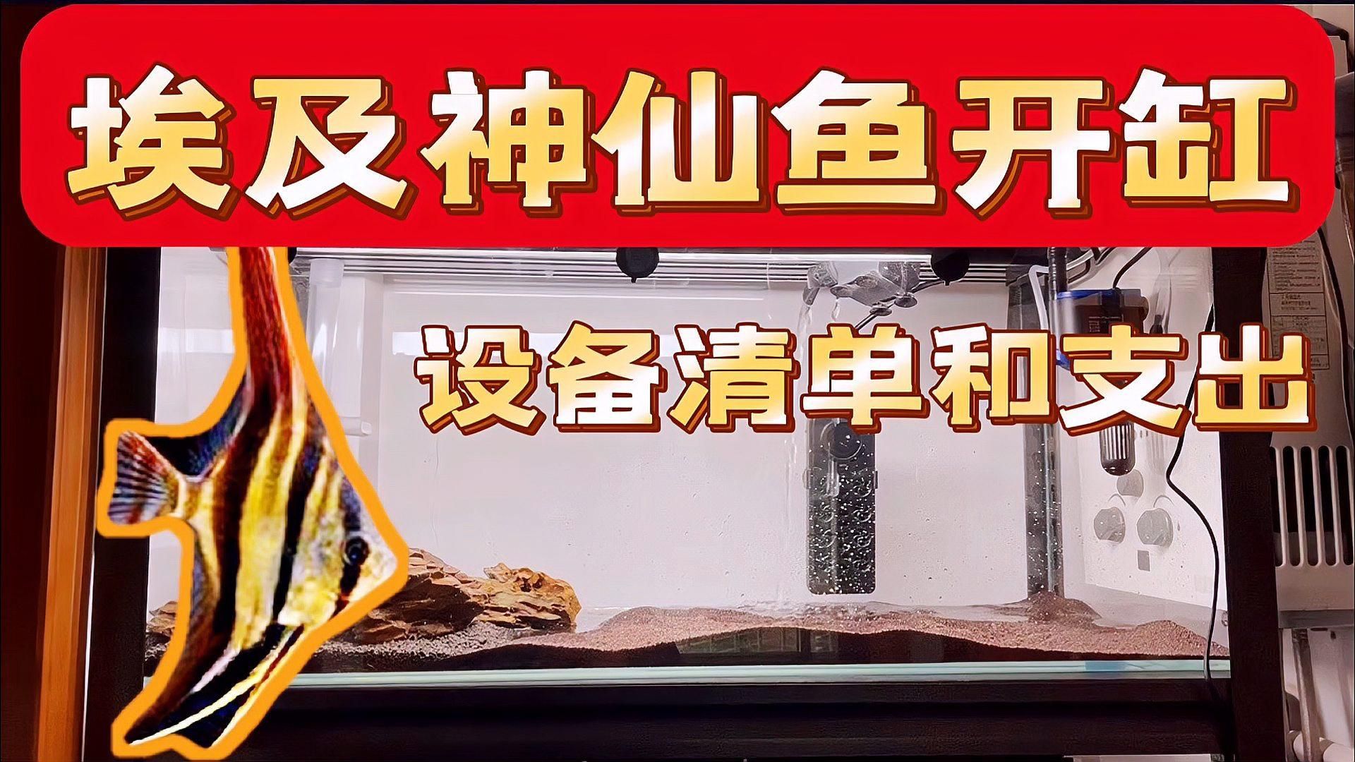 推薦一些神仙魚缸的配置清單，神仙魚缸的配置清單